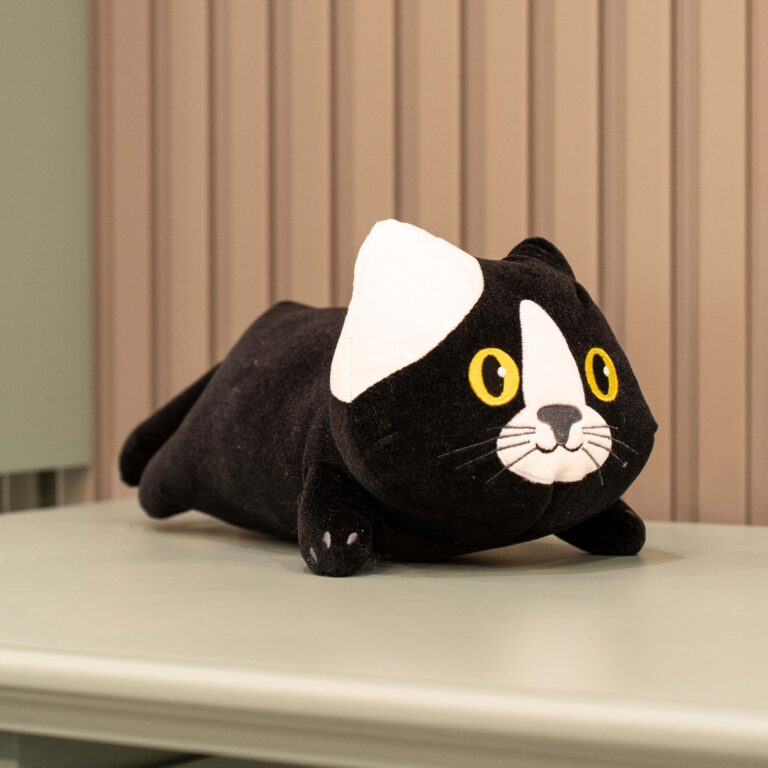 Siyah Kedi